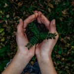 noah-buscher-x8ZStukS2PM-unsplash-1024×586